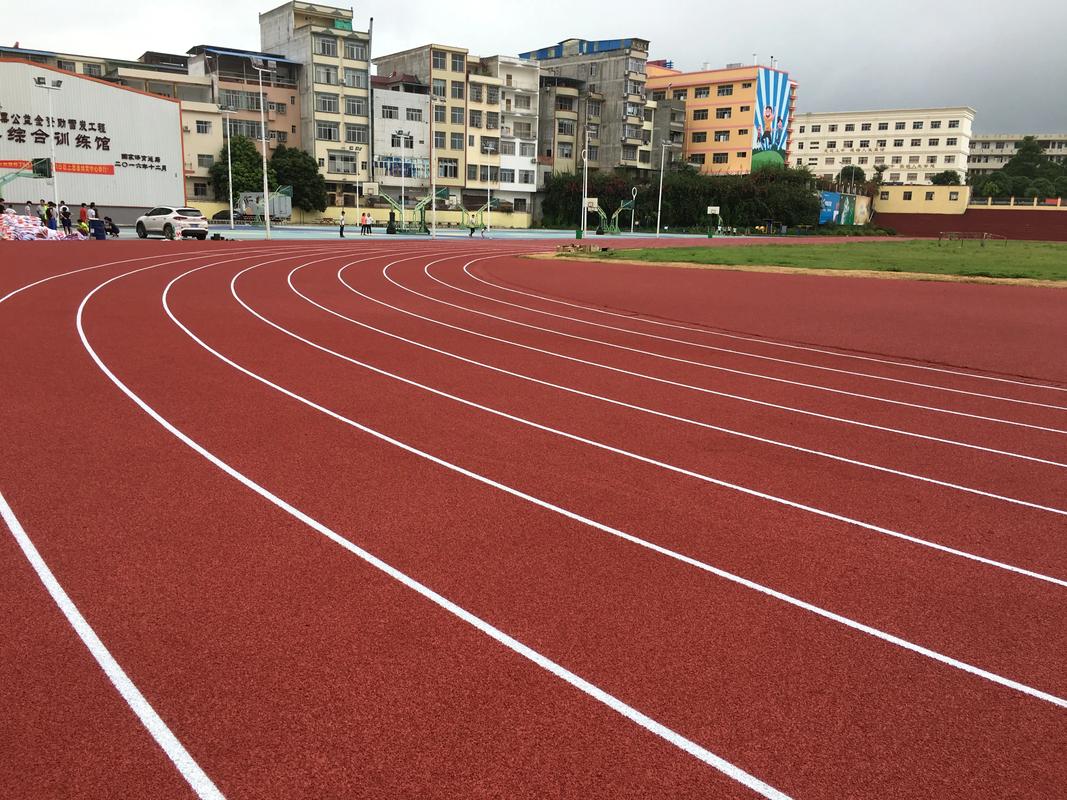青岛市EPDM颗粒塑胶跑道材料 - 价格